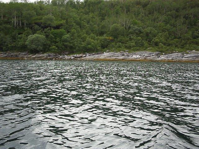 Overview from a point 100 m east of confluence, looking west