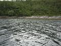 #5: Overview from a point 100 m east of confluence, looking west