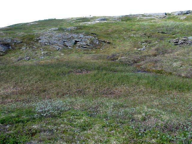 View west