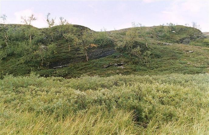 view north from the confluence