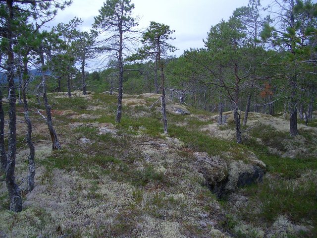 Confluence point