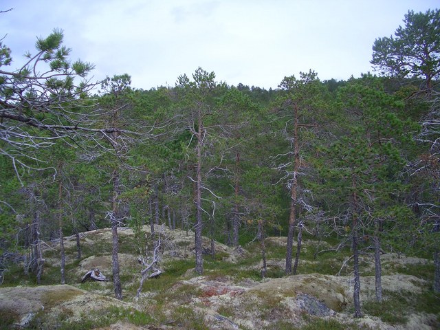 View North