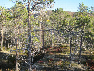 #2: Osten; view east
