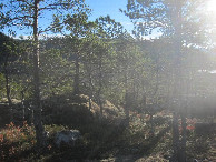 #3: Süden; view south