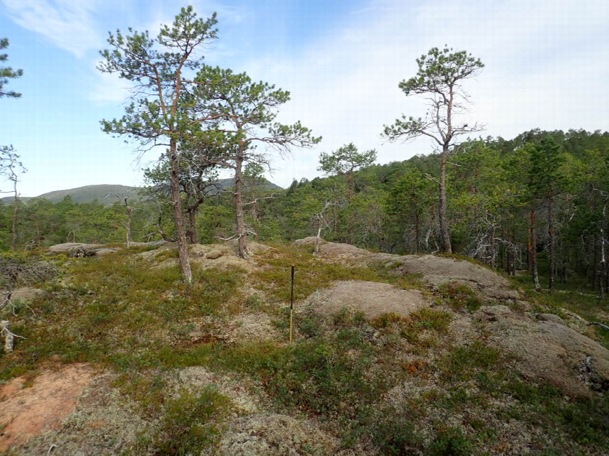 West view / Westliche Sicht