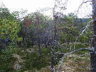#2: East view / Östliche Sicht
