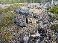 #7: Border Point -2 Meters from Confluence Point