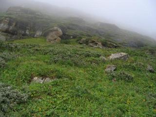 #1: The confluence point seen 100 metres from west.