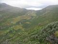 #8: The valley Synnerdalen seen from the confluence point.