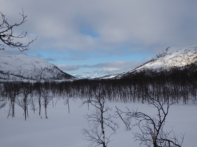 view over the valley 