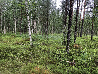 #4: View to the North