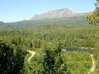 #10: View North from the Parking area / Sicht vom Parkplatz nach Norden