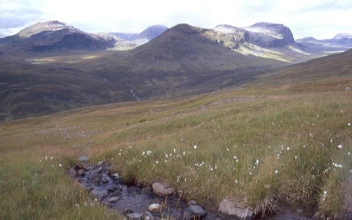 View into Reiersdalen, north-east of the CP