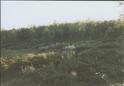 #5: view west