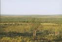 #7: view east (from ATV-track), towards the CP (800m away)