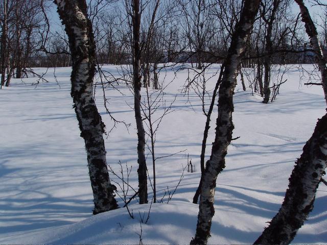 View East