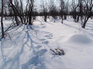 #1: Confluence lies where the footprints end, view South