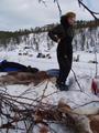 #9: Lunch break by the fire on reindeer skins, Kari and the dogs