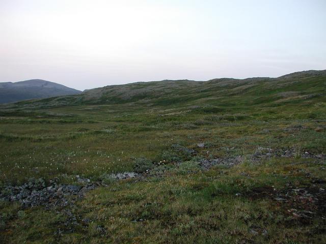 East view
