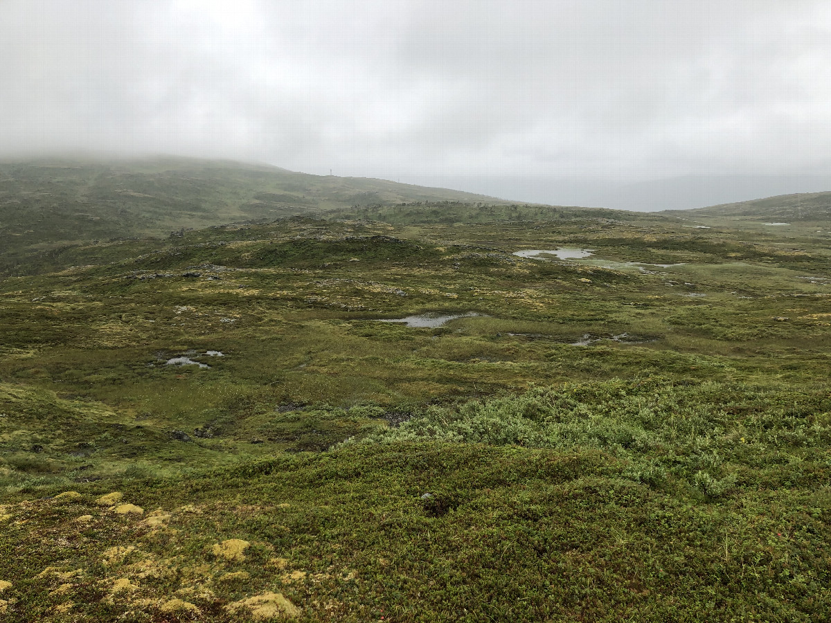 The Confluence from 30 m Distance