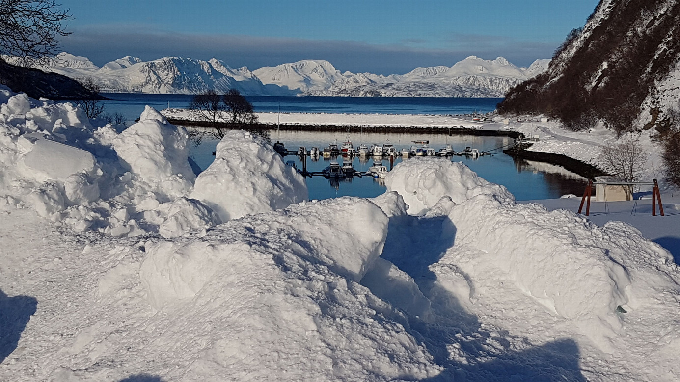 Skjervøy harbor