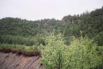 #1: Looking towards the confluence area from top of the quarry