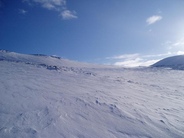 Looking in from 60 meters NE of the confluence point.