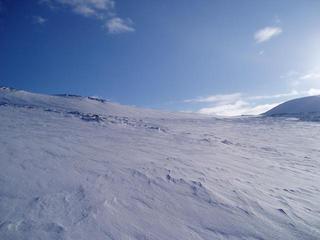 #1: Looking in from 60 meters NE of the confluence point.