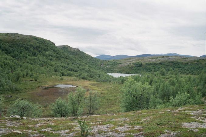 A view south from the conflunce area