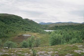 #1: A view south from the conflunce area