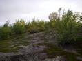 #15: Looking west