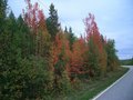 #8: Autumn approaching