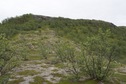 #2: View North
