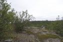 #5: View West