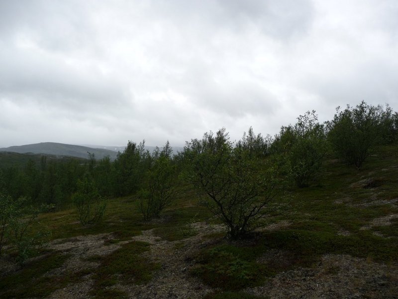 N70° E25° view north