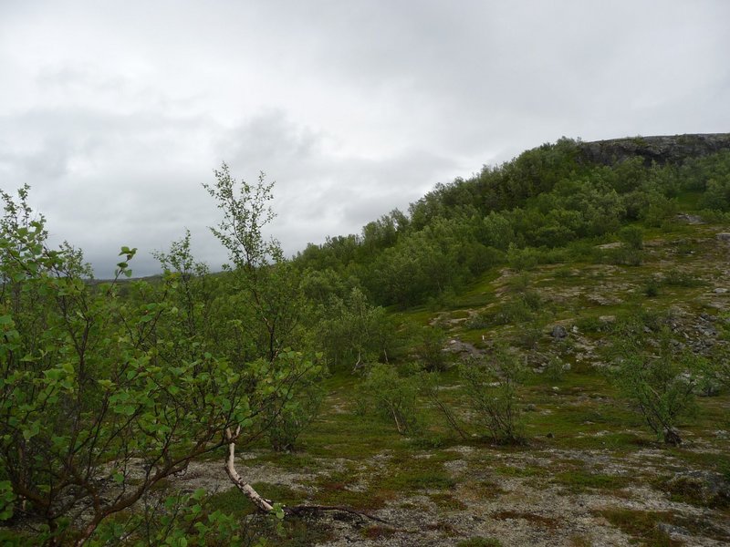 N70° E25° view east