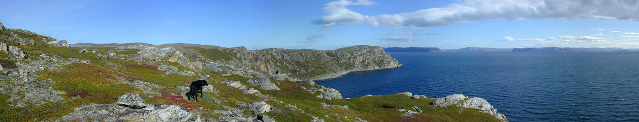 Panorama from the confluence