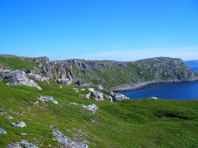 View North