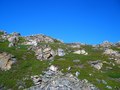#5: View West