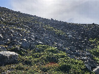 #2: View to the South