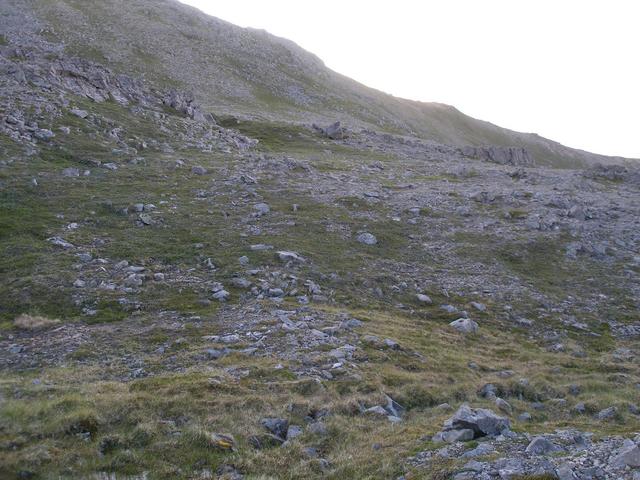Other view from the confluence point