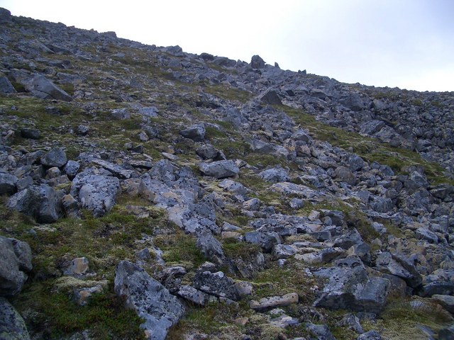 View to the South