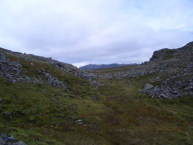 View to the West