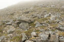 #3: view east