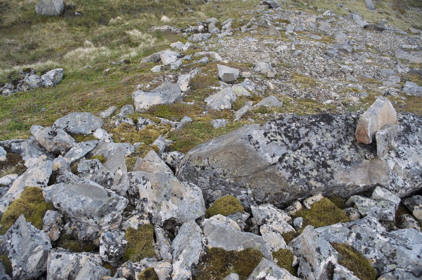 The confluence point lies on a rocky, mossy hillside