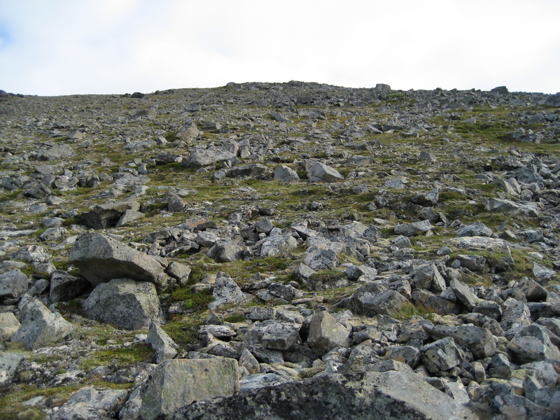 view to the east from the confluence point