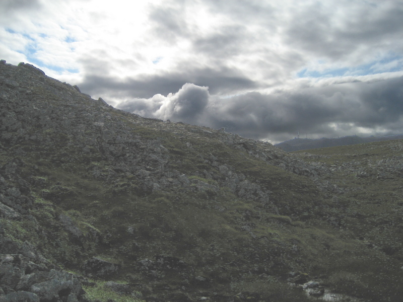 view to the south from the confluence point