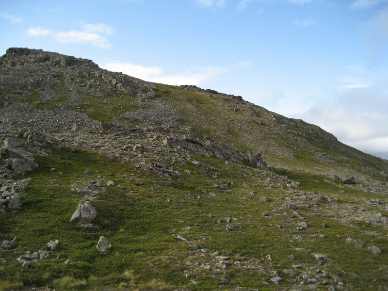 view to the west from the confluence point