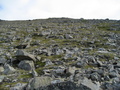 #2: view to the east from the confluence point