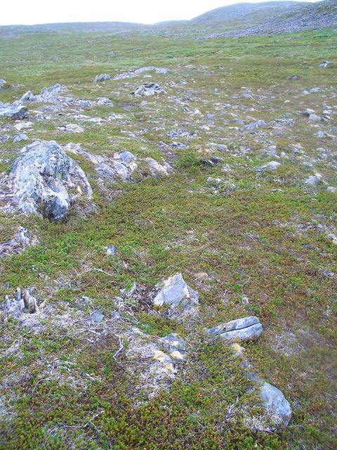 Confluence point